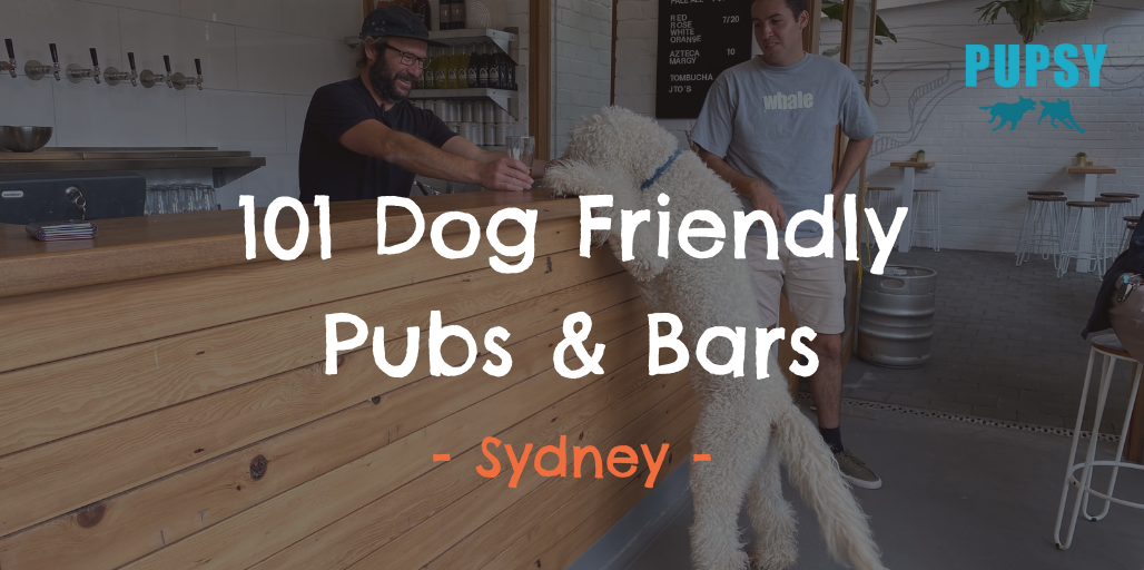 101 Dog-Friendly-Pubs-Bars-Sydney
