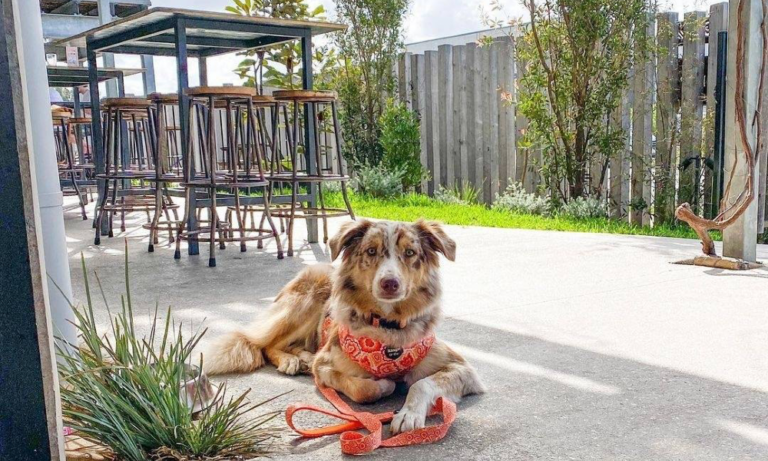 Land Sea 2 106 768x461