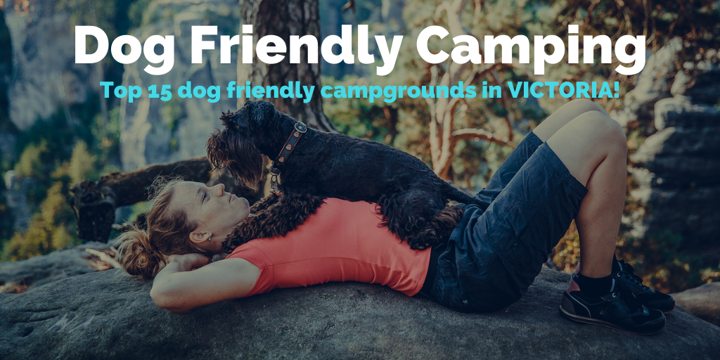 dog-friendly-camping-vic