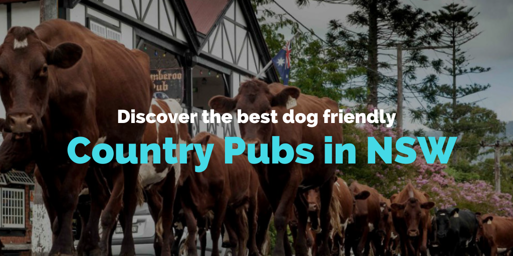 dog-friendly-country-pubs