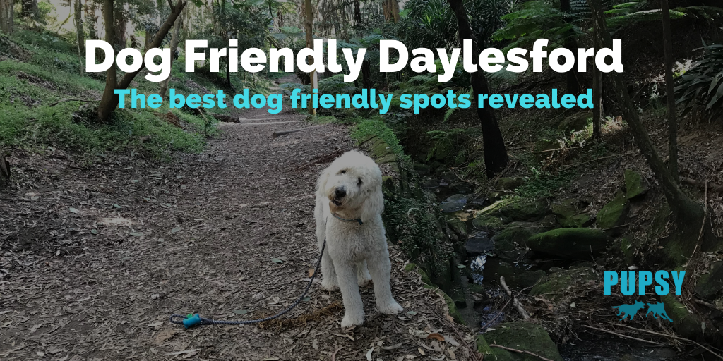 dog-friendly-daylesford