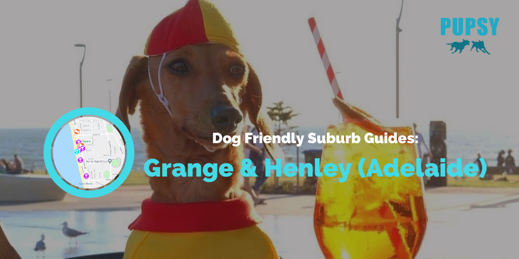 dog-friendly-grange-henley