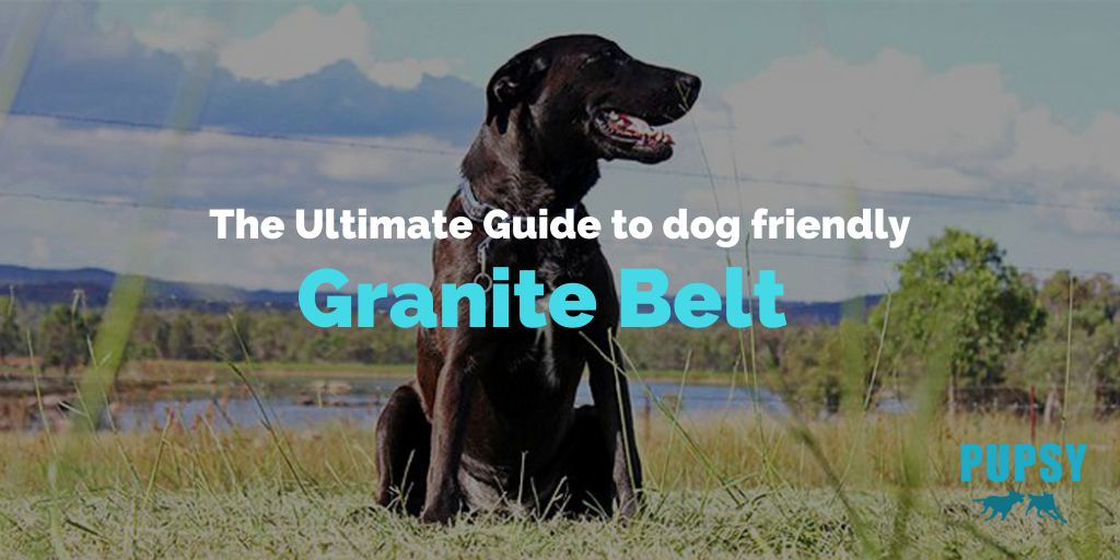 dog-friendly-granite-belt
