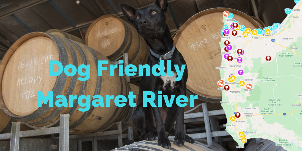 dog-friendly-margaret-river