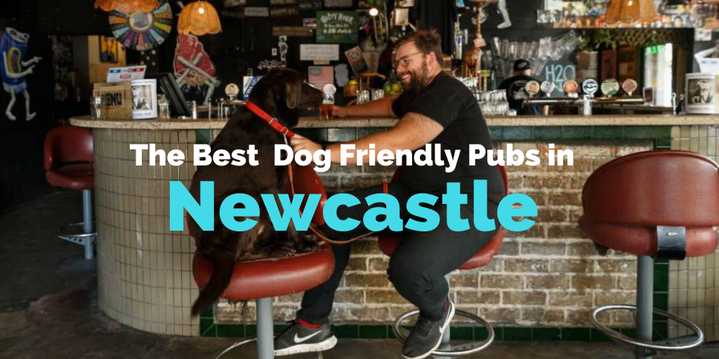 dog-friendly-pubs-newcastle