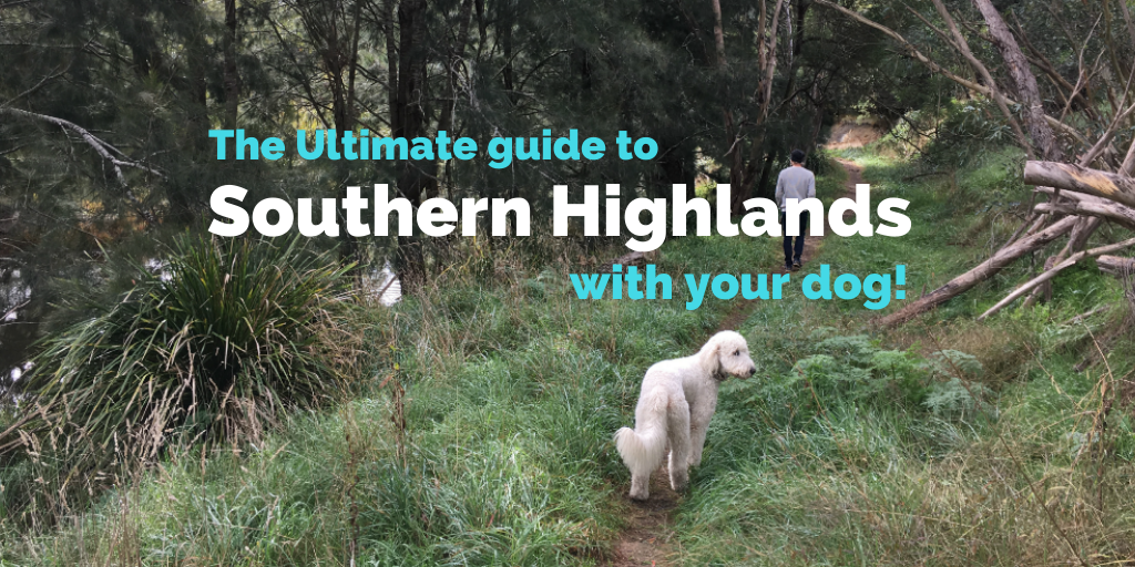 dog-friendly-southern-highlands-new