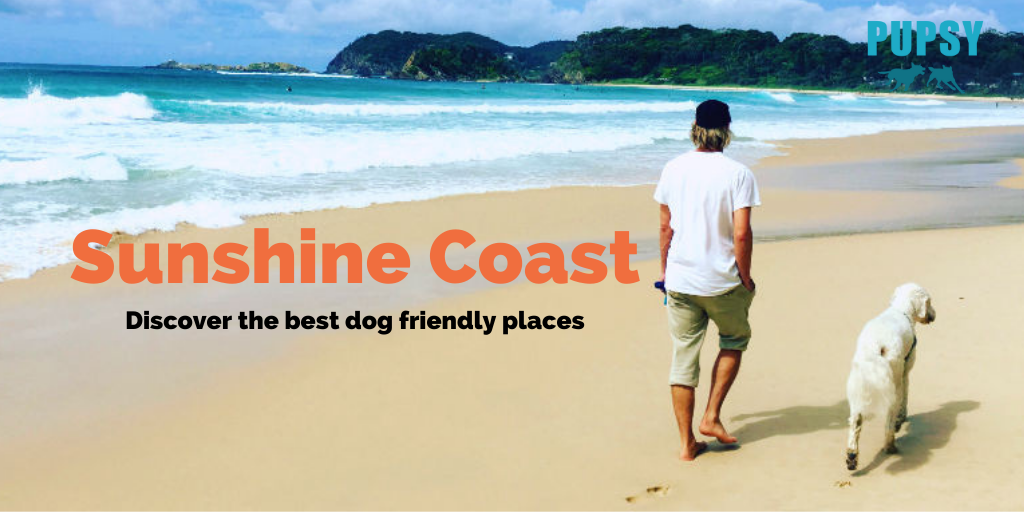 dog-friendly-sunshine-coast