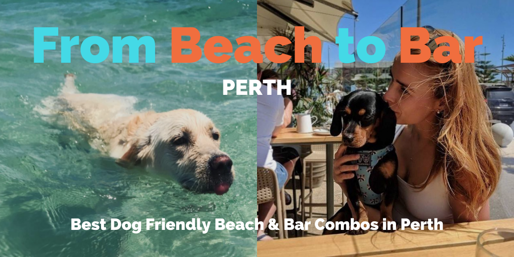 from-beach-to-bar-perth