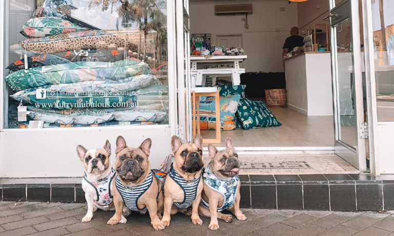 Furry n Fabulouse 3 106 1 768x461