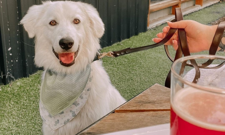 Glass House 2 1063 768x461