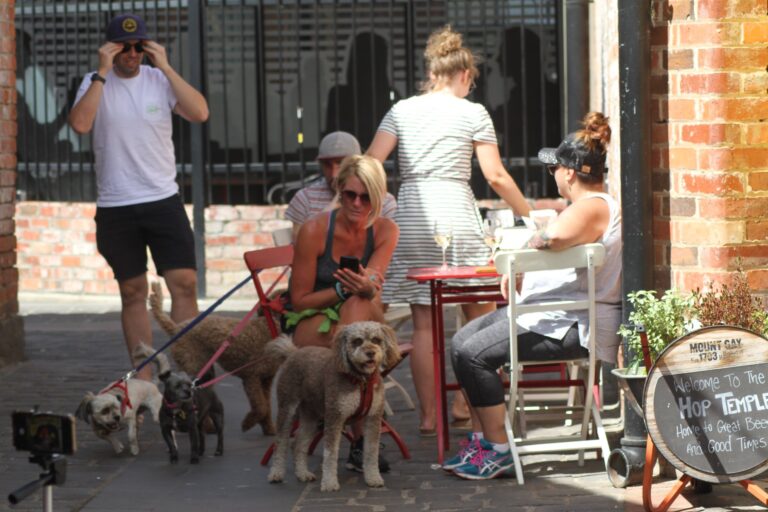 Hop Temple 2 768x512