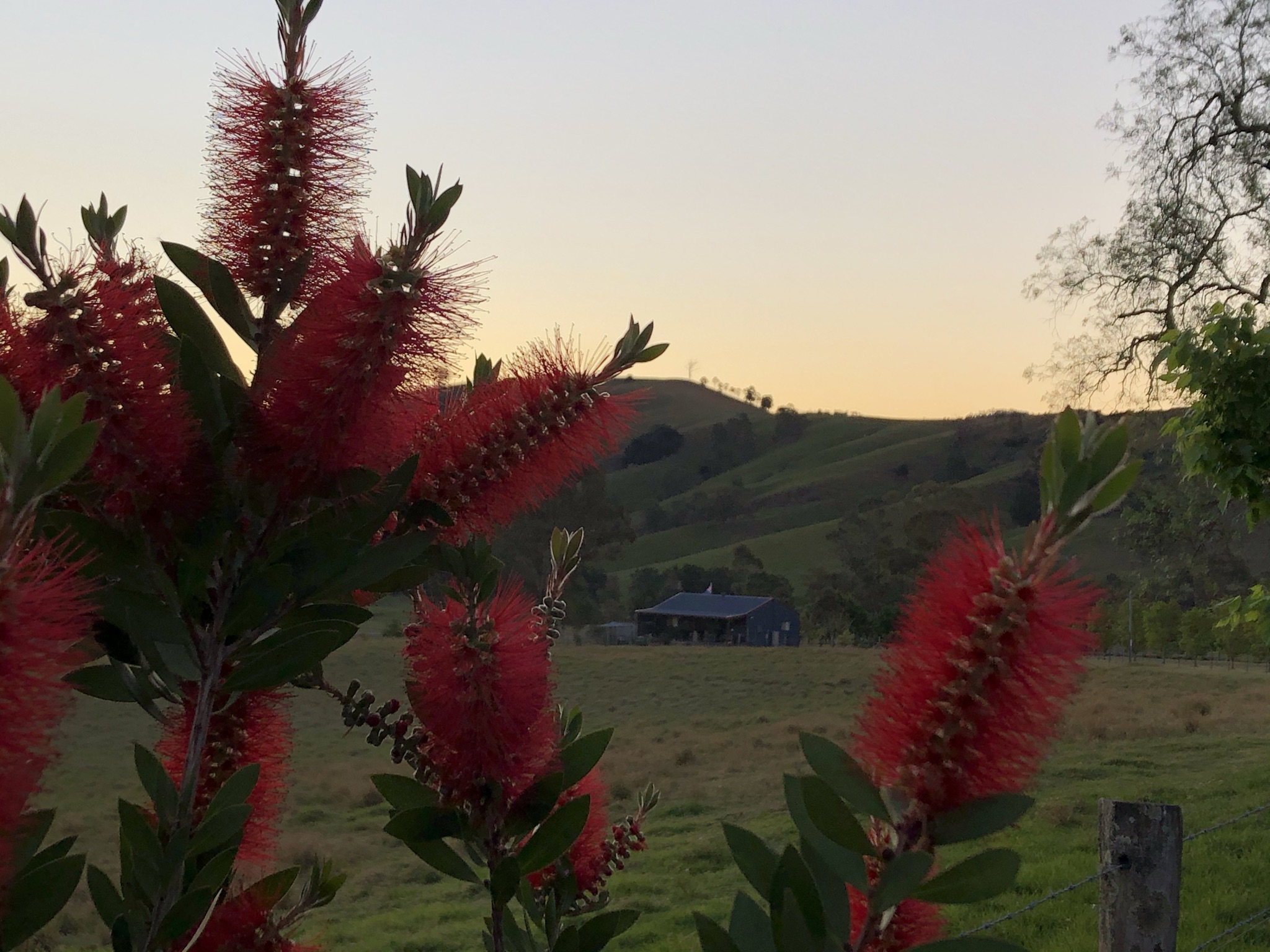 View to The Wattle Lodge