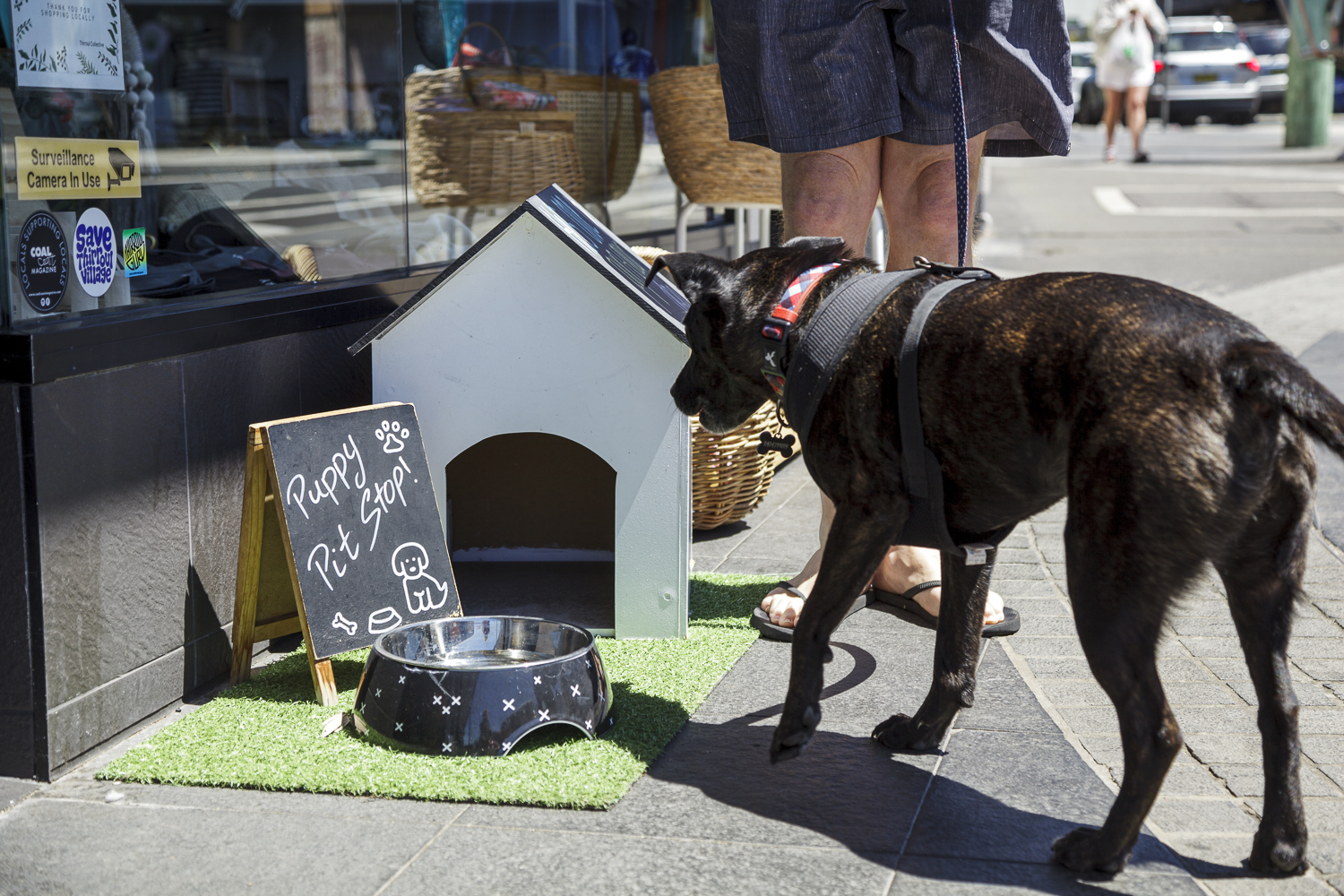 Meredith Schofield Coal Coast Thirroul Collective 30 1