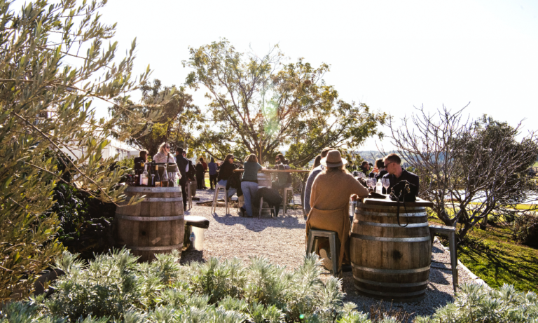 Zin House 1 106 768x461