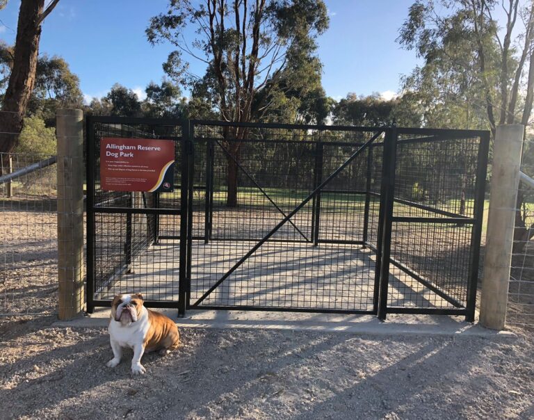 Allingham Street Dog Park 768x604