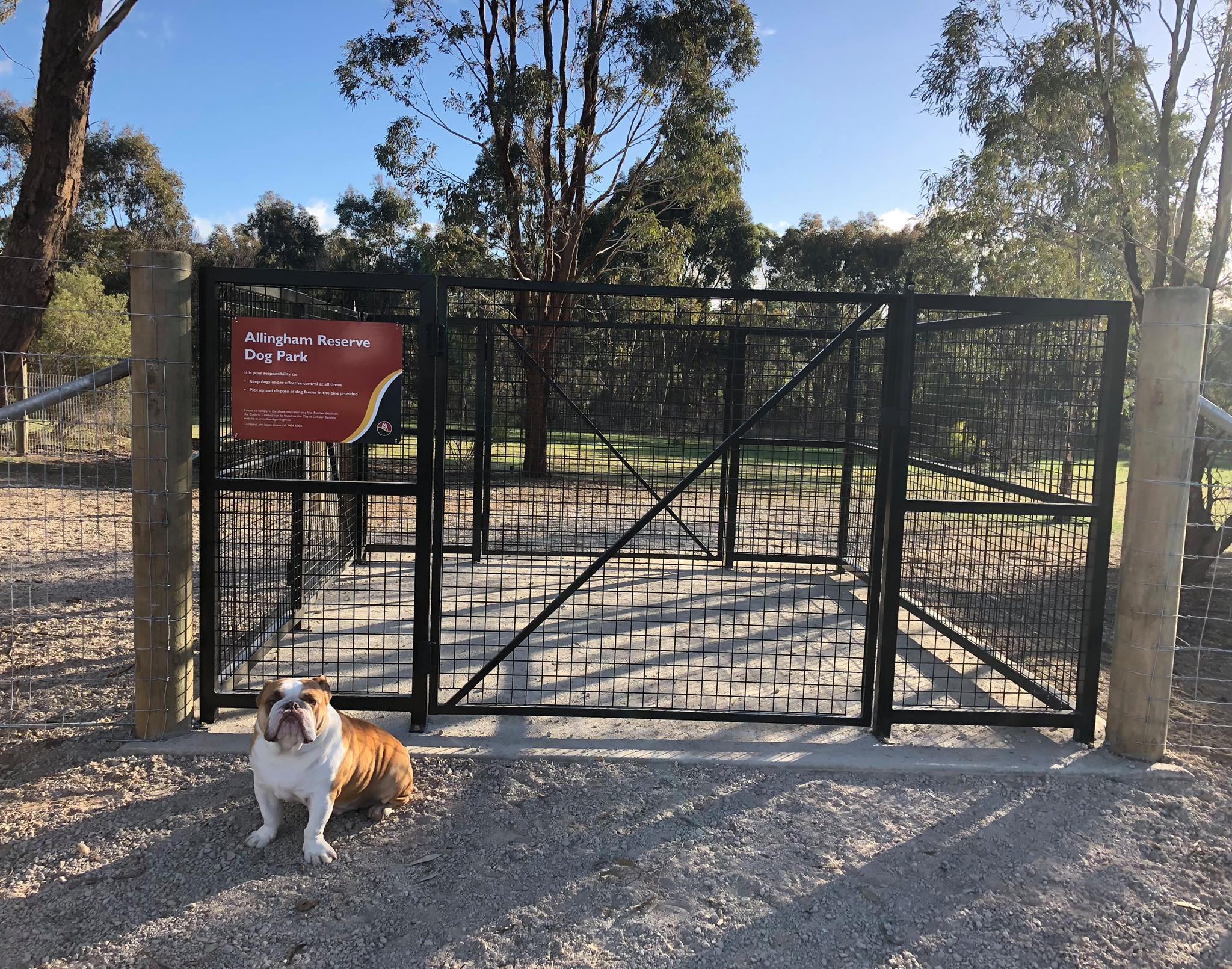 Allingham Street Dog Park