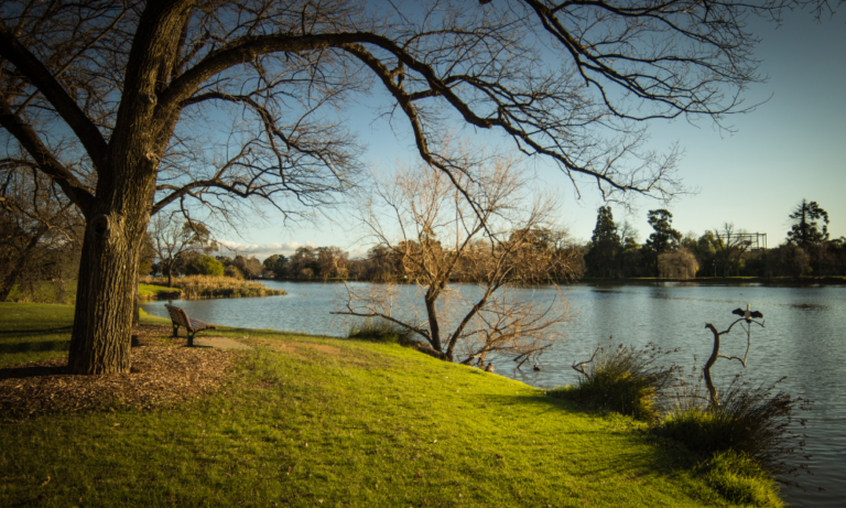 Lake Weeroona 1 768x461
