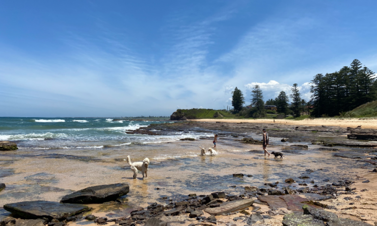 Little Austinmer 10 106 768x461