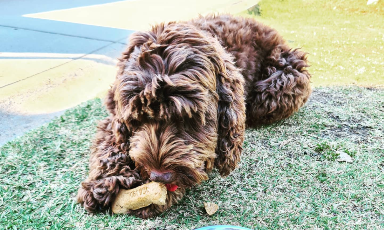 Quarry Hill Cafe 1 1 768x461