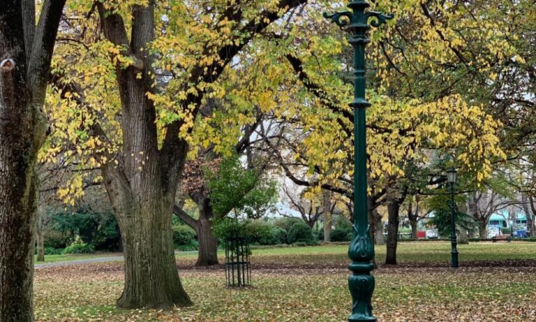 Rosalind Park 106 1 768x461