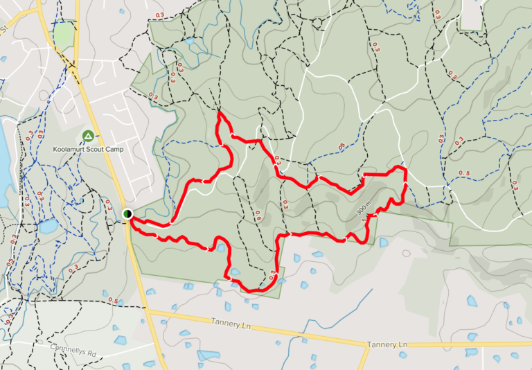 Screen Shot 2022 01 14 at 08.47.59 768x534