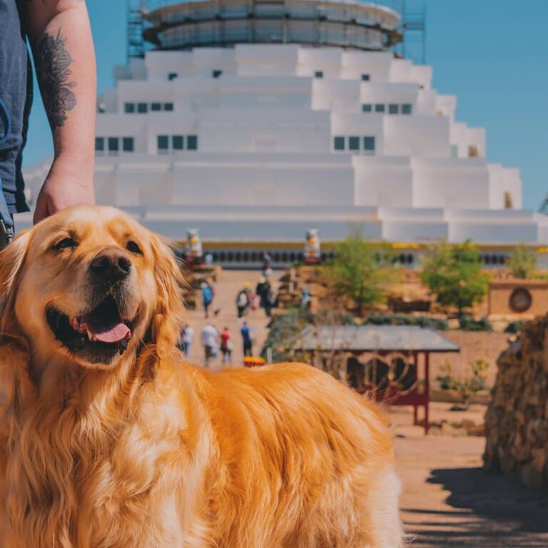 Stupa View 1 768x768