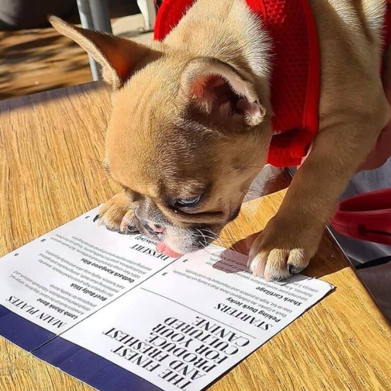 The Boardwalk Bendigo 6 768x768