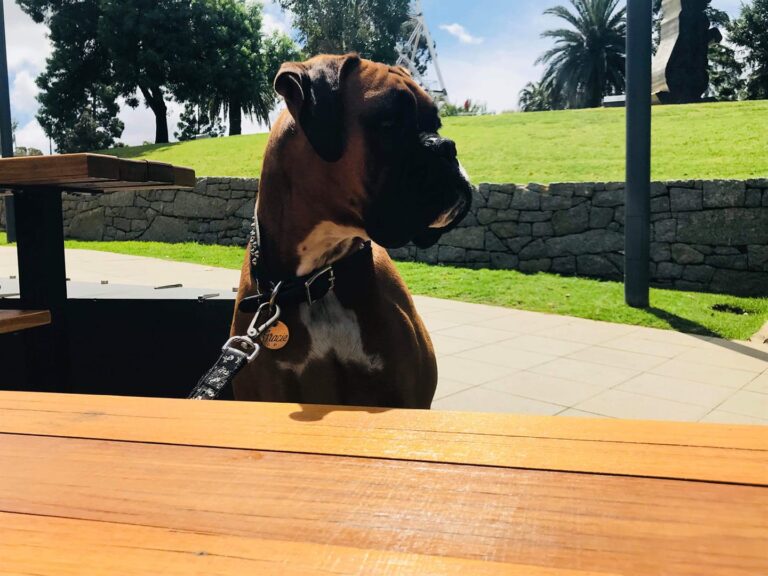 The Gallery Cafe 1 768x576