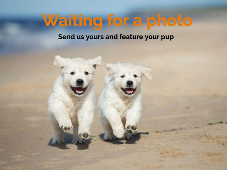 1 Beach Feature photo 768x576