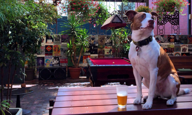 The Rainbow Hotel Fitzroy 5 106 1 768x461