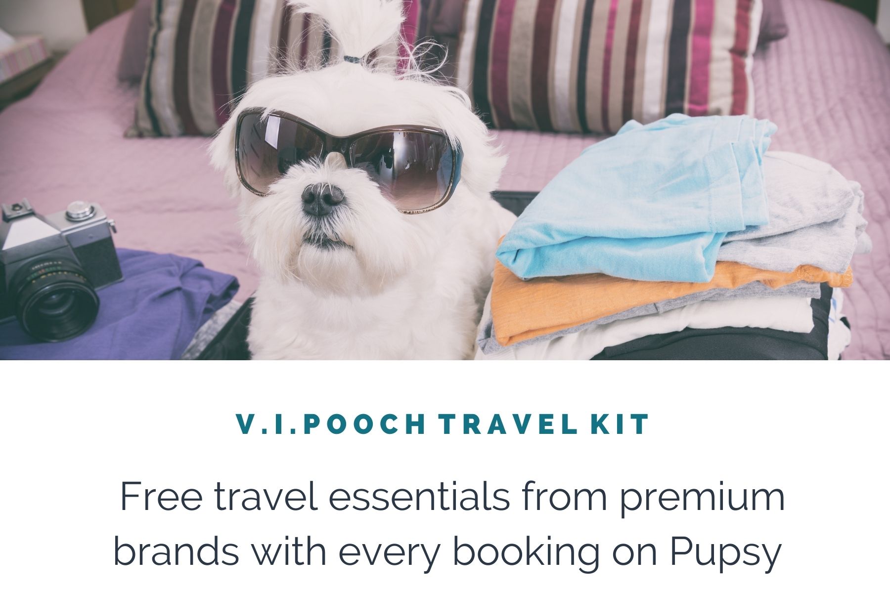 dog-friendly-accommodation-vipooch-travel-kit