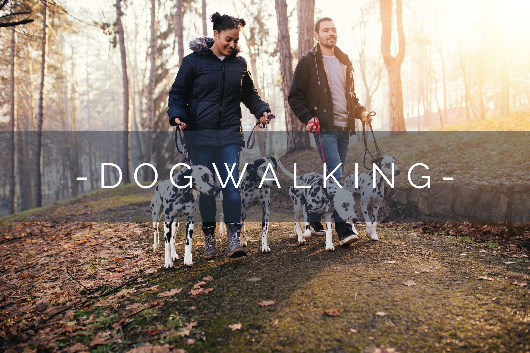 dog-walking-home
