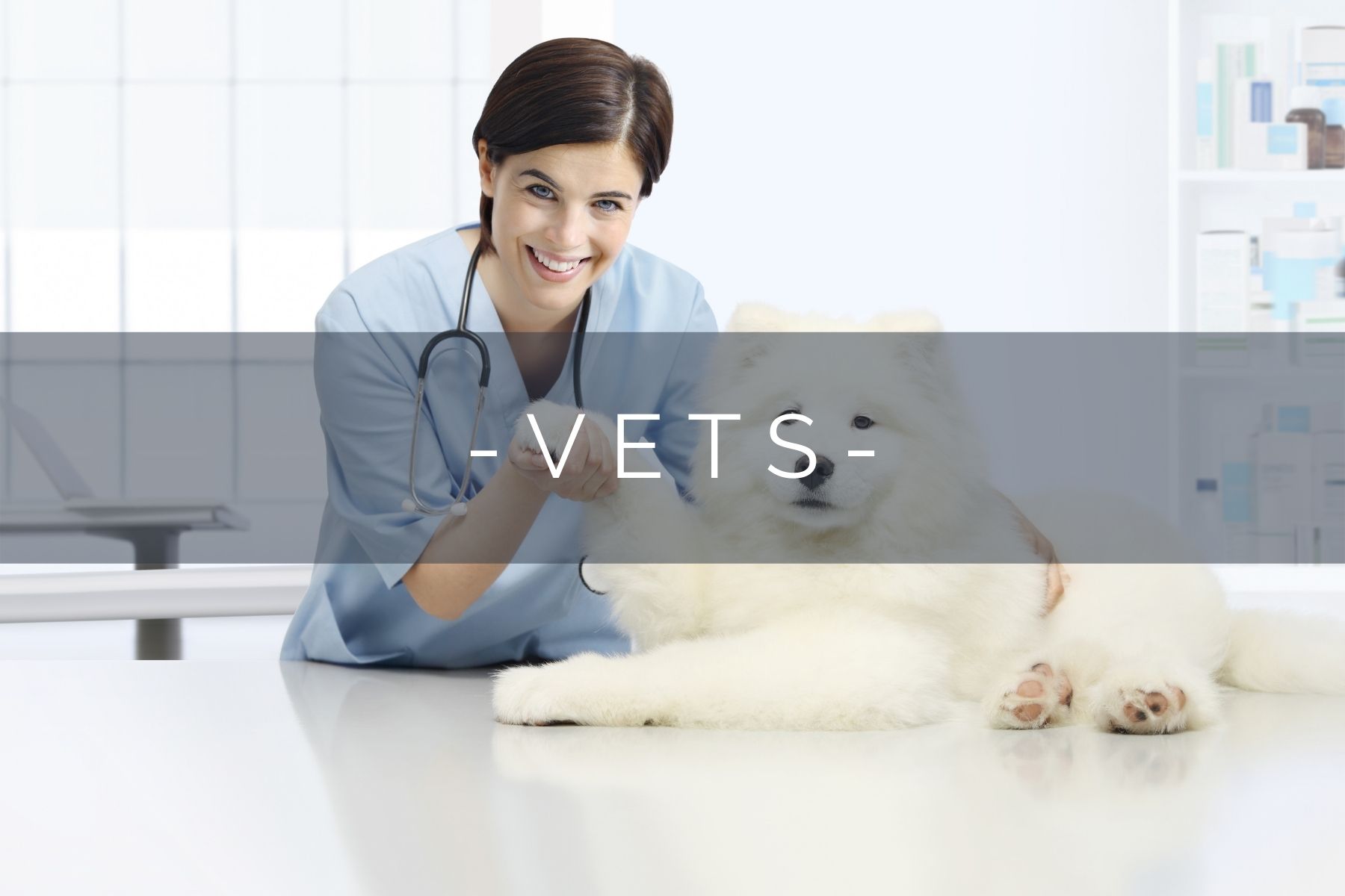 vets-home