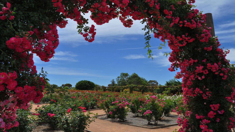 Australian Inland Botanic Gardens 768x432