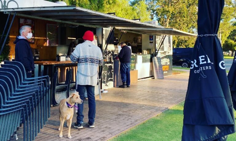 Shippy 206 1 768x461