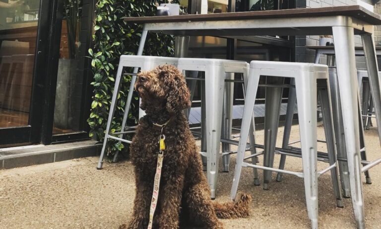 blk mlk 2 106 1 768x461