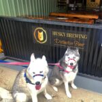 Husky Brewing 2 150x150