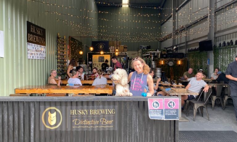 Husky Brewing Lumi 206 768x461