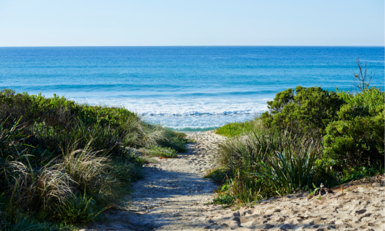 Narrawallee Beach 2 768x461