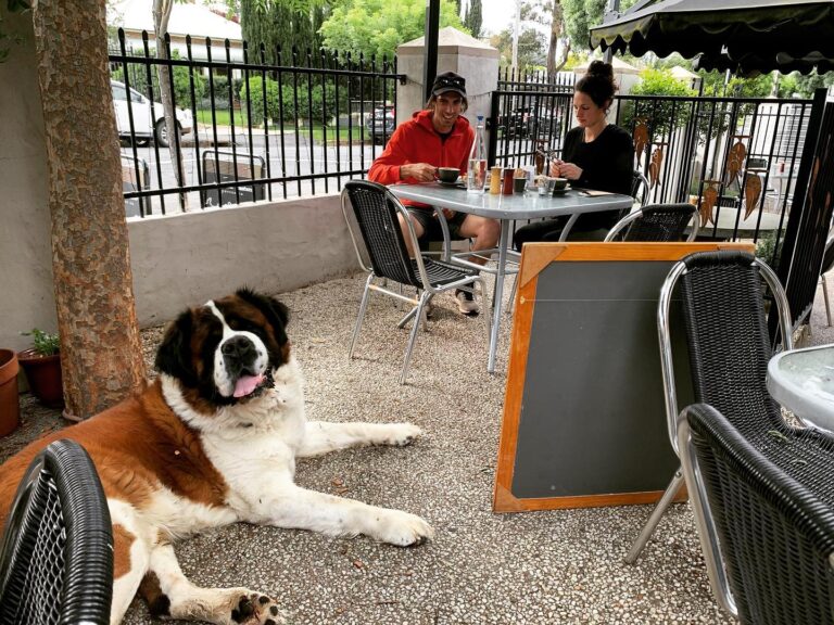 Nile Street Cafe 2 768x576