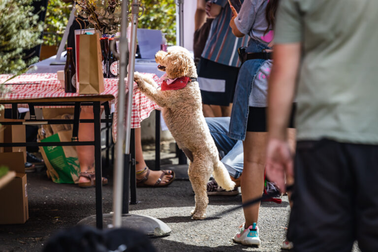 Little Creatures Geelong 8 768x512