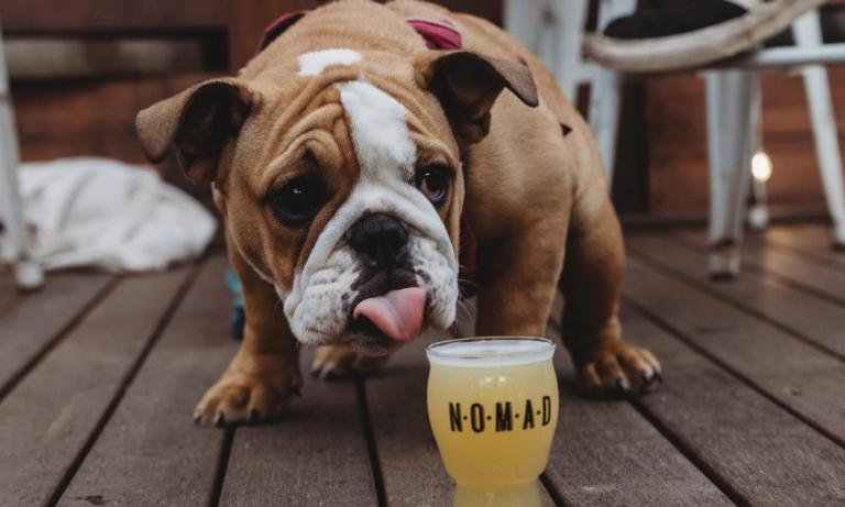 Nomad 12 106 768x461