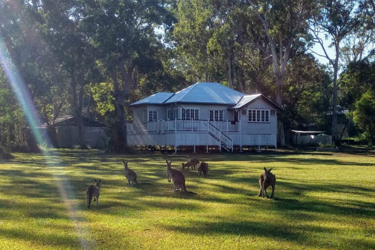 lake weyba noosa cottage dog friendly accommodation 96 768x512