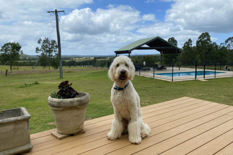 Saschas retreat lumi adjusted 96 768x512