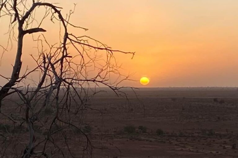 trappers dugout dog friendly accommodation 12 96 768x512