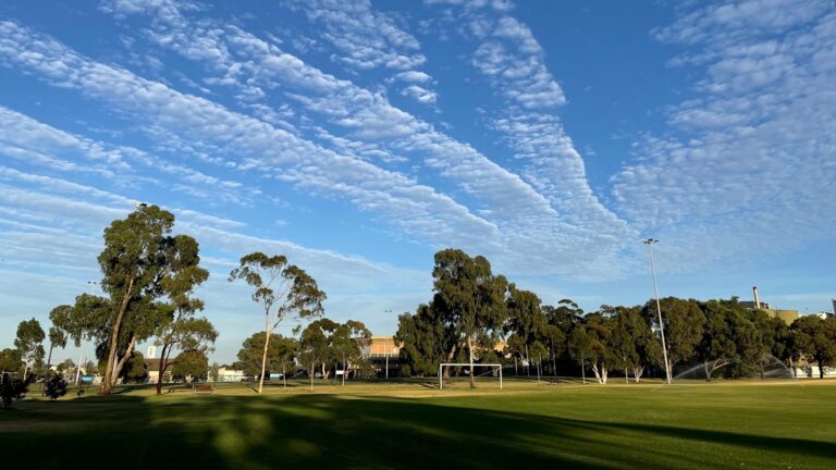 Hansen Reserve 768x432