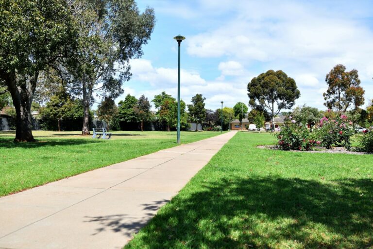 Jack Chaston Park 768x512