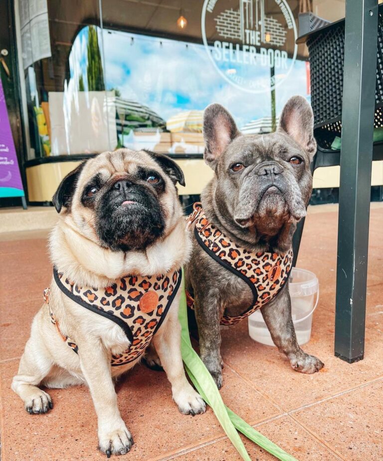 Seller Door 6 768x924