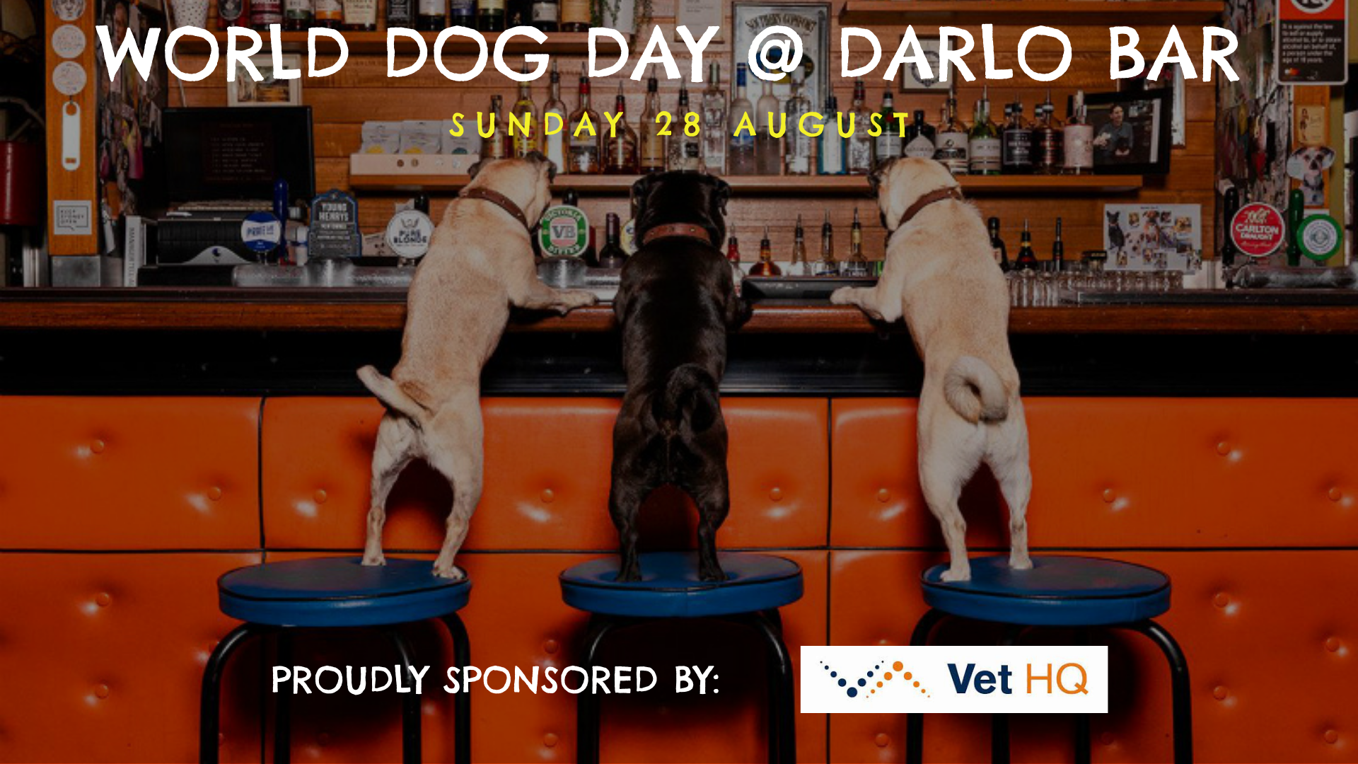 World Dog Day Darlo Bar 2022