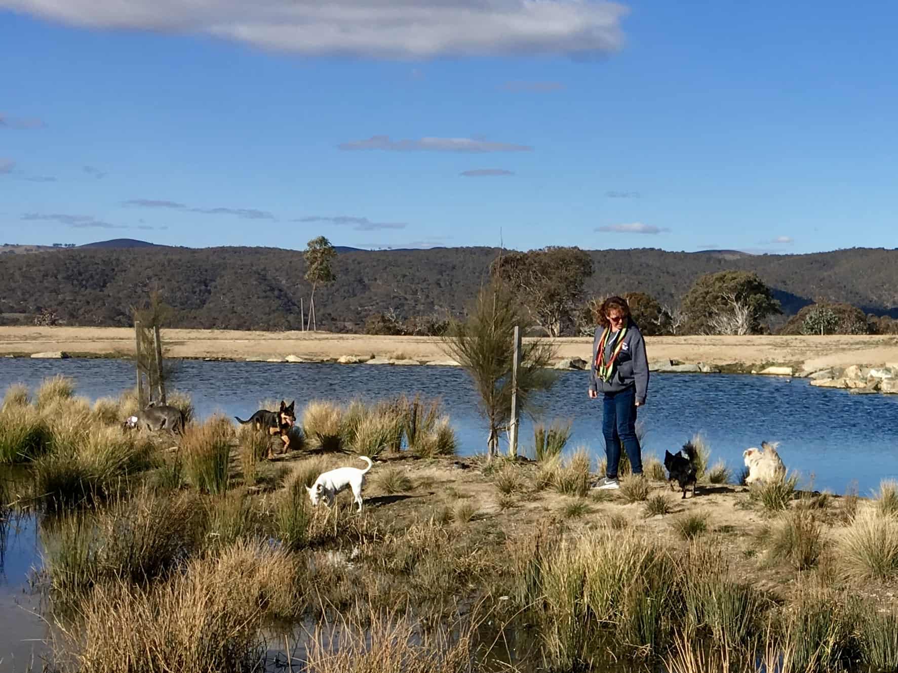 Googong Barkley